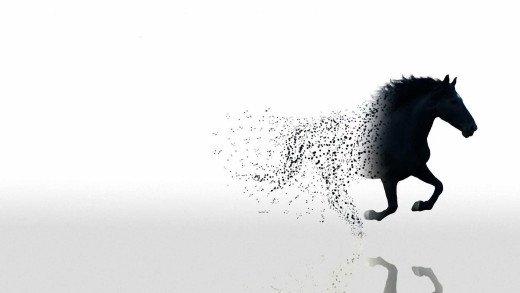 695793 (a): :1920x1080